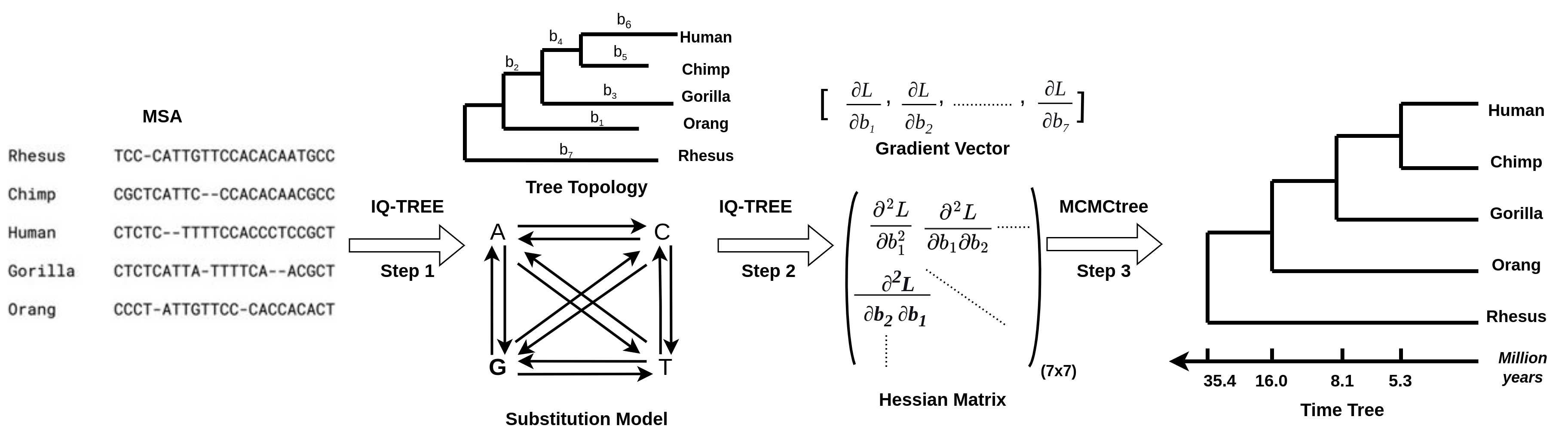 Node dates in FigTree